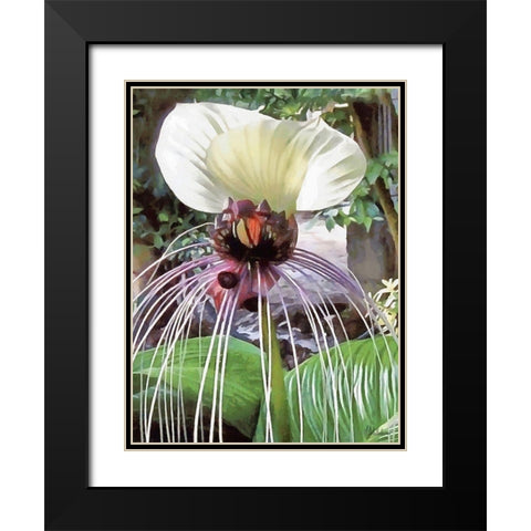 Orchids XVII Black Modern Wood Framed Art Print with Double Matting by Medeiros, Celito