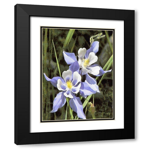 Orchids XVIII Black Modern Wood Framed Art Print with Double Matting by Medeiros, Celito