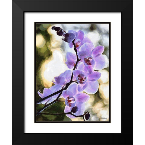 Orchids XIX Black Modern Wood Framed Art Print with Double Matting by Medeiros, Celito