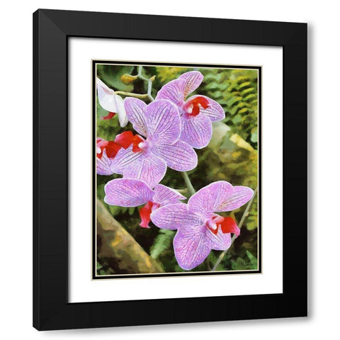 Orchids XX Black Modern Wood Framed Art Print with Double Matting by Medeiros, Celito