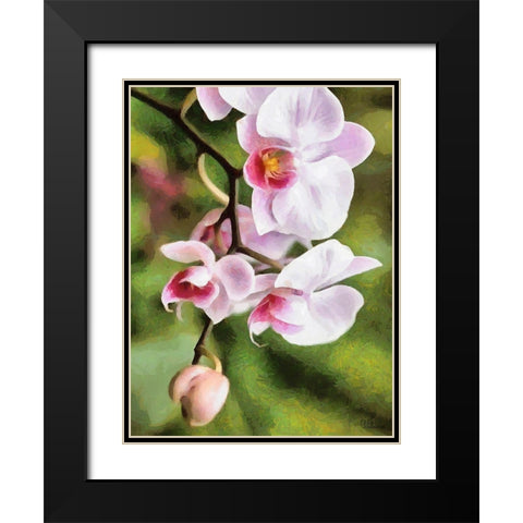Orchids XXI Black Modern Wood Framed Art Print with Double Matting by Medeiros, Celito