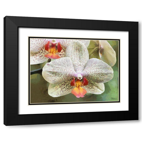 Orchids XXII Black Modern Wood Framed Art Print with Double Matting by Medeiros, Celito