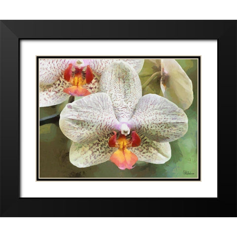 Orchids XXII Black Modern Wood Framed Art Print with Double Matting by Medeiros, Celito