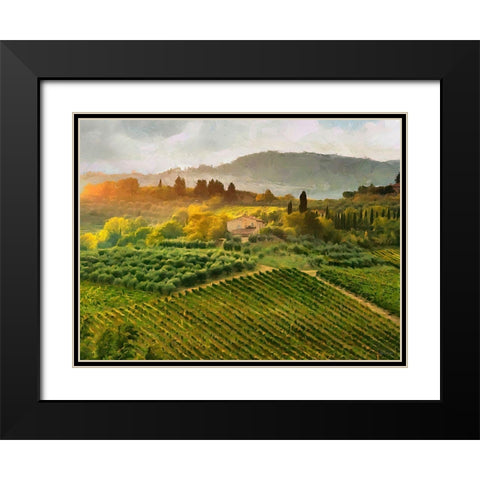 Tuscany Vineyeard Black Modern Wood Framed Art Print with Double Matting by Medeiros, Celito