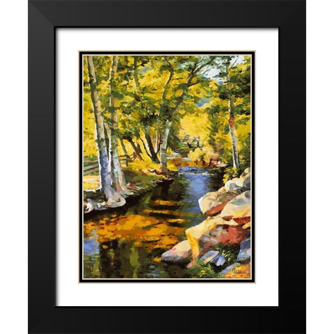 Creek with Rocks Black Modern Wood Framed Art Print with Double Matting by Medeiros, Celito