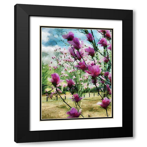 Magnolia Tree Black Modern Wood Framed Art Print with Double Matting by Medeiros, Celito