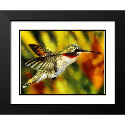 Hummingbird Black Modern Wood Framed Art Print with Double Matting by Medeiros, Celito