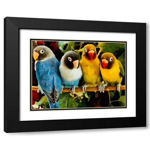 Four Parrots Black Modern Wood Framed Art Print with Double Matting by Medeiros, Celito