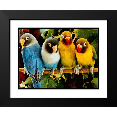 Four Parrots Black Modern Wood Framed Art Print with Double Matting by Medeiros, Celito