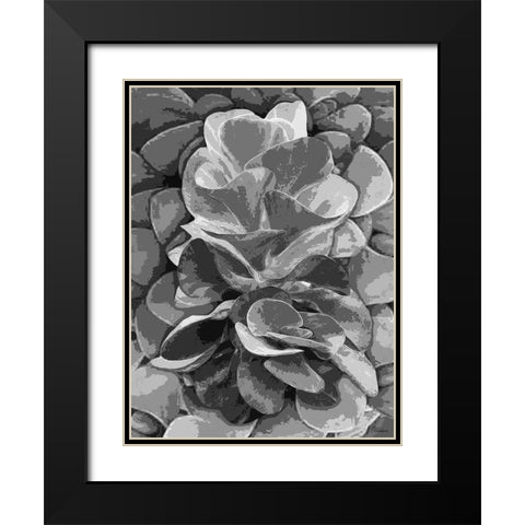 Leaves BW6 Black Modern Wood Framed Art Print with Double Matting by Medeiros, Celito