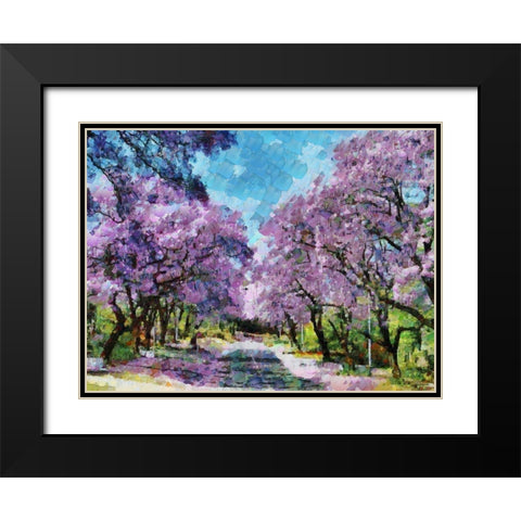 Paradise Road I Black Modern Wood Framed Art Print with Double Matting by Medeiros, Celito