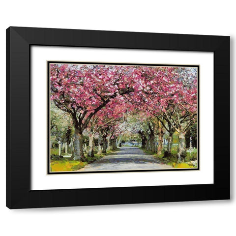 Paradise Road III Black Modern Wood Framed Art Print with Double Matting by Medeiros, Celito