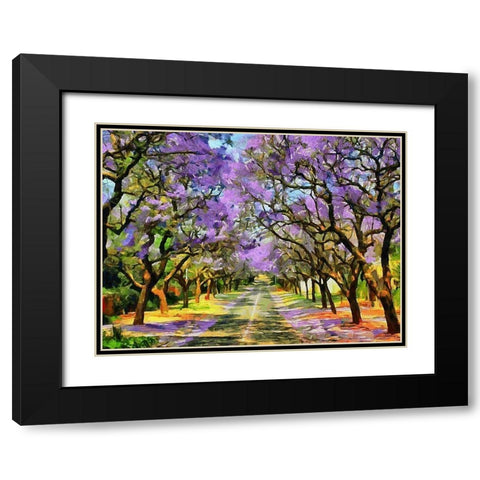Paradise Road IV Black Modern Wood Framed Art Print with Double Matting by Medeiros, Celito