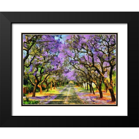 Paradise Road IV Black Modern Wood Framed Art Print with Double Matting by Medeiros, Celito