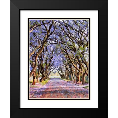 Paradise Road V Black Modern Wood Framed Art Print with Double Matting by Medeiros, Celito