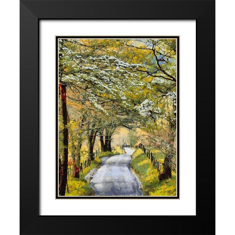 Countryside Road in Spring Black Modern Wood Framed Art Print with Double Matting by Medeiros, Celito