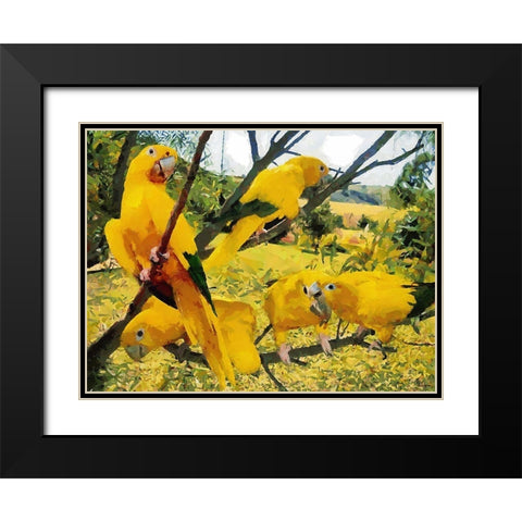 Five Yellow Parrots Black Modern Wood Framed Art Print with Double Matting by Medeiros, Celito