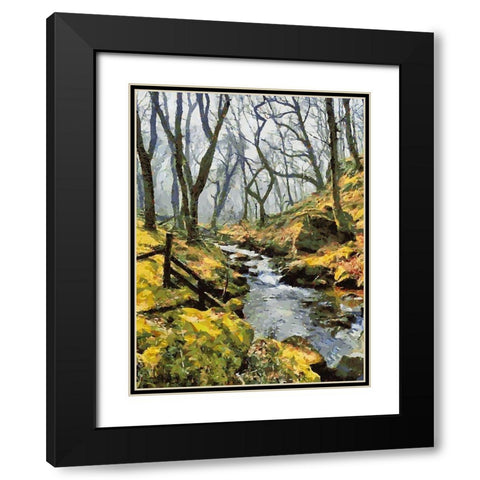 Stream in the Wood Black Modern Wood Framed Art Print with Double Matting by Medeiros, Celito