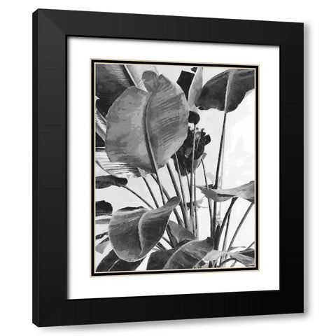 Leaves BW9 Black Modern Wood Framed Art Print with Double Matting by Medeiros, Celito
