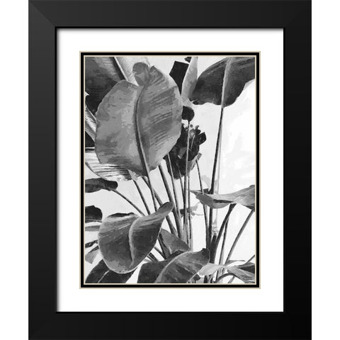 Leaves BW9 Black Modern Wood Framed Art Print with Double Matting by Medeiros, Celito