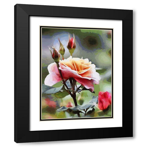 Rose Black Modern Wood Framed Art Print with Double Matting by Medeiros, Celito