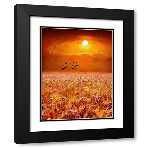 Birds over the field by Sunset Black Modern Wood Framed Art Print with Double Matting by Medeiros, Celito