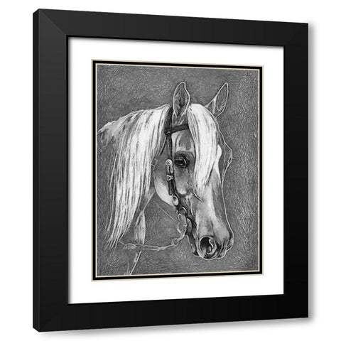 Horse Face BW I Black Modern Wood Framed Art Print with Double Matting by Medeiros, Celito