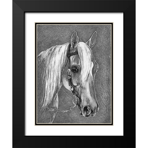 Horse Face BW I Black Modern Wood Framed Art Print with Double Matting by Medeiros, Celito