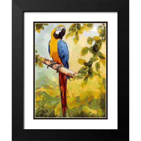 One Big Parrot Black Modern Wood Framed Art Print with Double Matting by Medeiros, Celito