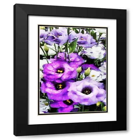 Purple Flowers Black Modern Wood Framed Art Print with Double Matting by Medeiros, Celito