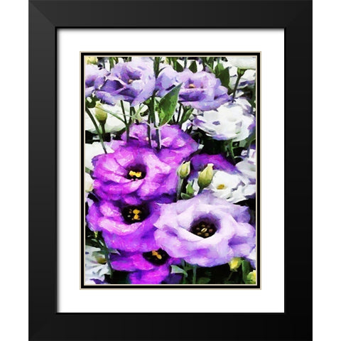 Purple Flowers Black Modern Wood Framed Art Print with Double Matting by Medeiros, Celito