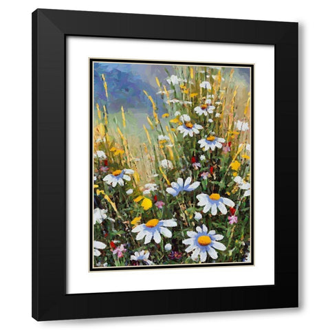 Meadow with Daisies II Black Modern Wood Framed Art Print with Double Matting by Medeiros, Celito