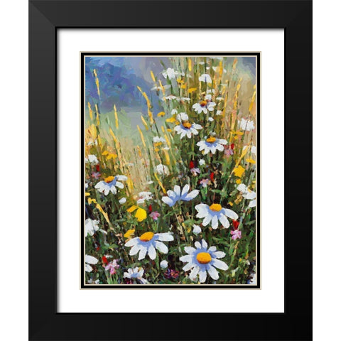 Meadow with Daisies II Black Modern Wood Framed Art Print with Double Matting by Medeiros, Celito