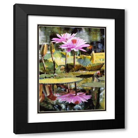 Pink Watterlilly Black Modern Wood Framed Art Print with Double Matting by Medeiros, Celito