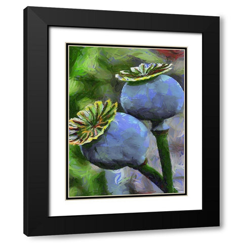 Ripe Poppies II Black Modern Wood Framed Art Print with Double Matting by Medeiros, Celito