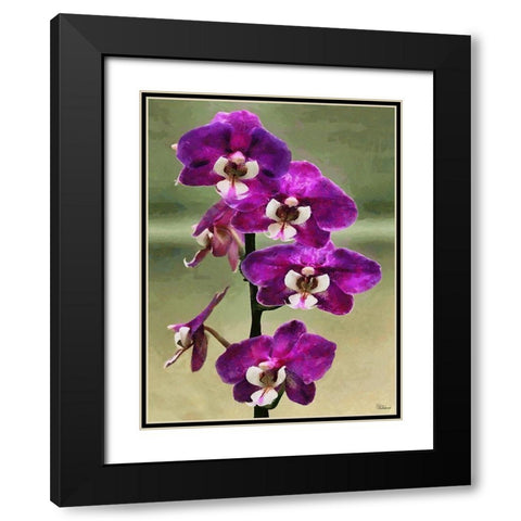 Purple Orchid Black Modern Wood Framed Art Print with Double Matting by Medeiros, Celito