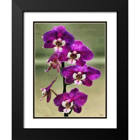 Purple Orchid Black Modern Wood Framed Art Print with Double Matting by Medeiros, Celito