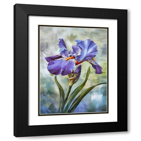 Blue Iris II Black Modern Wood Framed Art Print with Double Matting by Medeiros, Celito