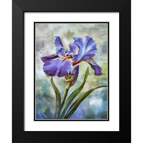 Blue Iris II Black Modern Wood Framed Art Print with Double Matting by Medeiros, Celito