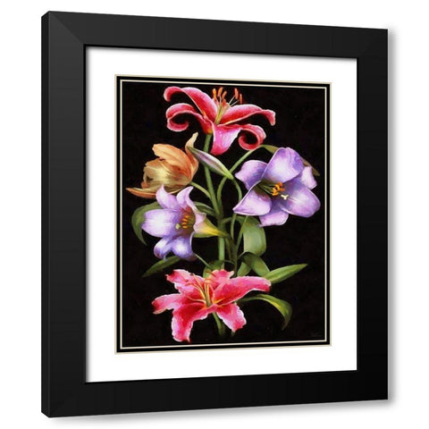 Lily Black Modern Wood Framed Art Print with Double Matting by Medeiros, Celito