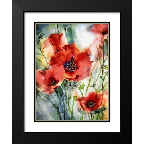 Red Poppies Black Modern Wood Framed Art Print with Double Matting by Medeiros, Celito
