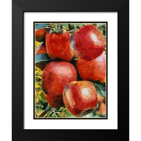 Apples Black Modern Wood Framed Art Print with Double Matting by Medeiros, Celito