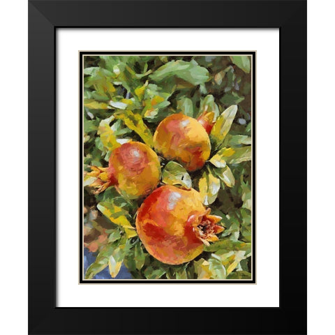 Pomegranate II Black Modern Wood Framed Art Print with Double Matting by Medeiros, Celito