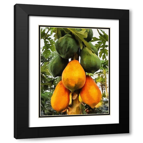Papaya Black Modern Wood Framed Art Print with Double Matting by Medeiros, Celito