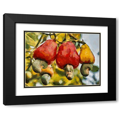 Tropical Fruit II Black Modern Wood Framed Art Print with Double Matting by Medeiros, Celito