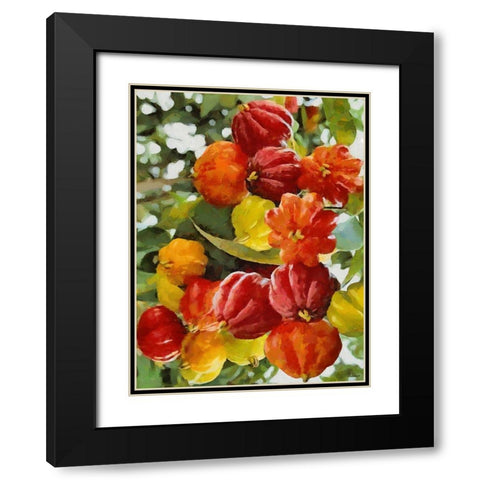 Tropical Fruit III Black Modern Wood Framed Art Print with Double Matting by Medeiros, Celito