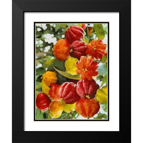 Tropical Fruit III Black Modern Wood Framed Art Print with Double Matting by Medeiros, Celito