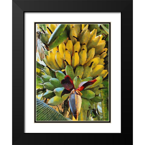 Banana Black Modern Wood Framed Art Print with Double Matting by Medeiros, Celito