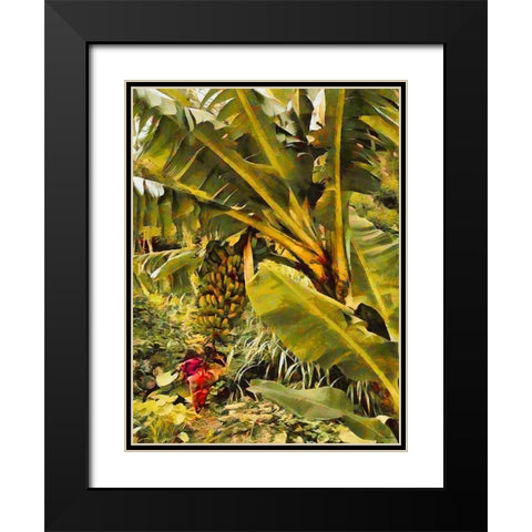 Banana Tree I Black Modern Wood Framed Art Print with Double Matting by Medeiros, Celito