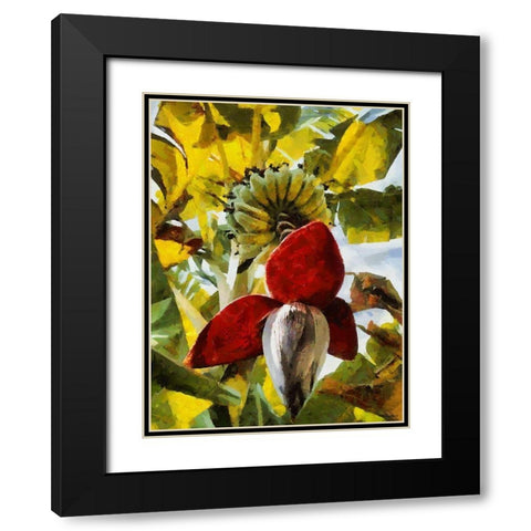 Banana Tree III Black Modern Wood Framed Art Print with Double Matting by Medeiros, Celito